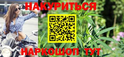 индика Можга