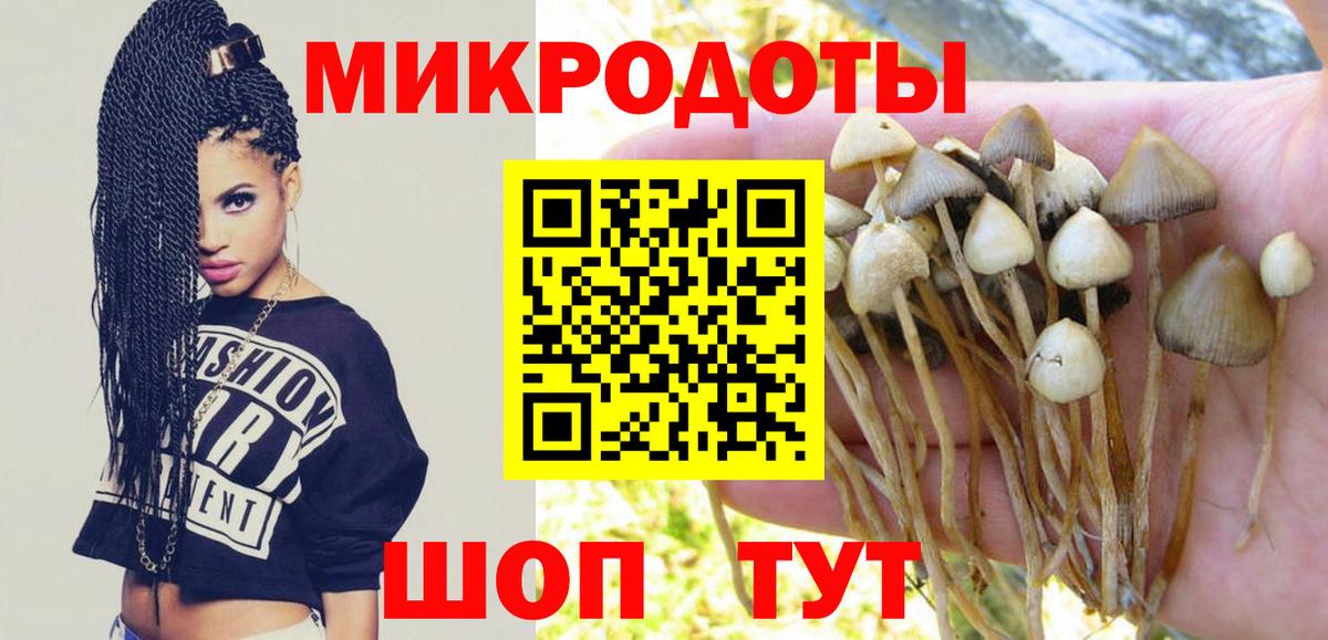 Галлюциногенные грибы Magic Shrooms  Вход с VPN  Сочи 